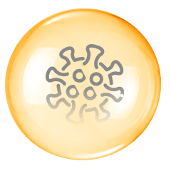 fabric bacteria