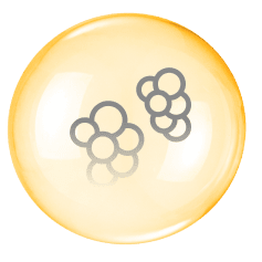 fabric bacteria